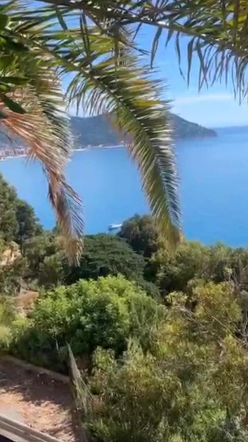 Bellissima Cervo Apartman Kültér fotó